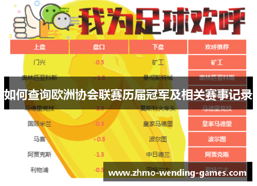 如何查询欧洲协会联赛历届冠军及相关赛事记录