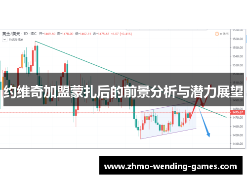 约维奇加盟蒙扎后的前景分析与潜力展望