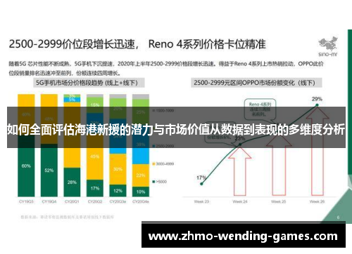 如何全面评估海港新援的潜力与市场价值从数据到表现的多维度分析