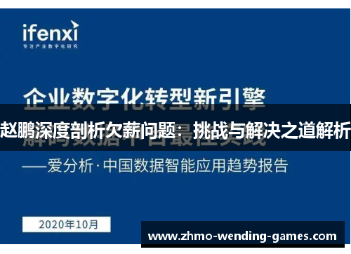 赵鹏深度剖析欠薪问题：挑战与解决之道解析