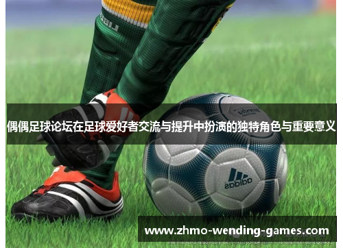 偶偶足球论坛在足球爱好者交流与提升中扮演的独特角色与重要意义