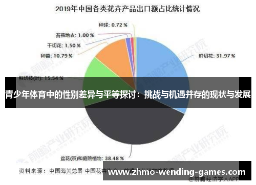 青少年体育中的性别差异与平等探讨：挑战与机遇并存的现状与发展