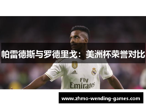 帕雷德斯与罗德里戈：美洲杯荣誉对比