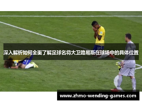 深入解析如何全面了解足球名将大卫路易斯在球场中的具体位置