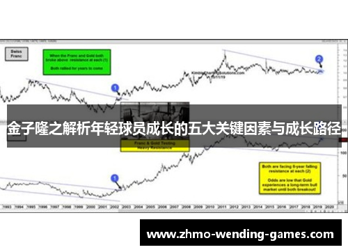 金子隆之解析年轻球员成长的五大关键因素与成长路径 金子隆之解析年轻球员成长的五大关键因素与成长路径